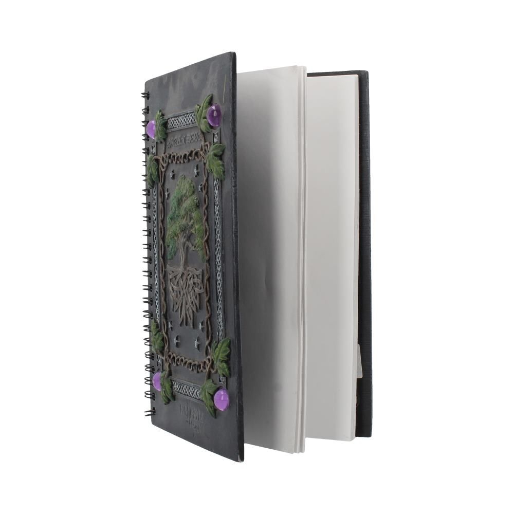 Nemesis Now - Dream Book (21cm) Notitieboek - Multicolours